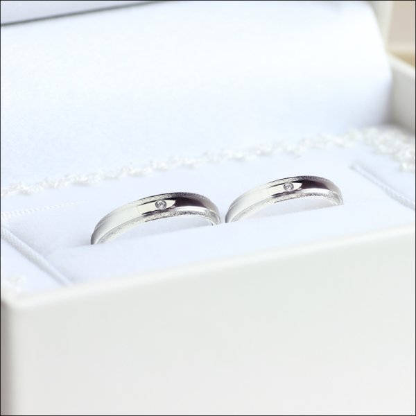 画像3: ステンレス 指輪 肌に優しいサージカル 高品質天然ダイヤモンド付 結婚 金属アレルギー対応 アクセサリー【プレジール 喜び 】 誕生日に【 ゼフィール そよ風 】【ダイヤモンド品質保証付】ギフト用にも人気 / ジーラブ