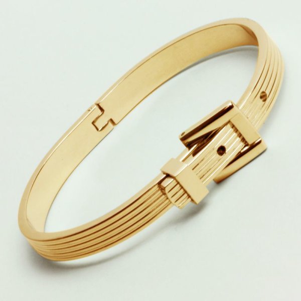 画像5: サージカルステンレス バングル 誕生日プレゼント 記念日 高品質 お祝い バックルスタイルベルト ピンクゴールド バングル 誕生日プレゼント 記念日 高品質 お祝い ギフト用 / ジーラブ