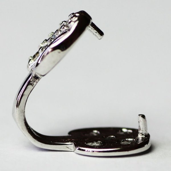 画像4: リングホルダー アップル りんご ホルダーネックレス 指輪 を ネックレス に 通す ペンダント クリッカー