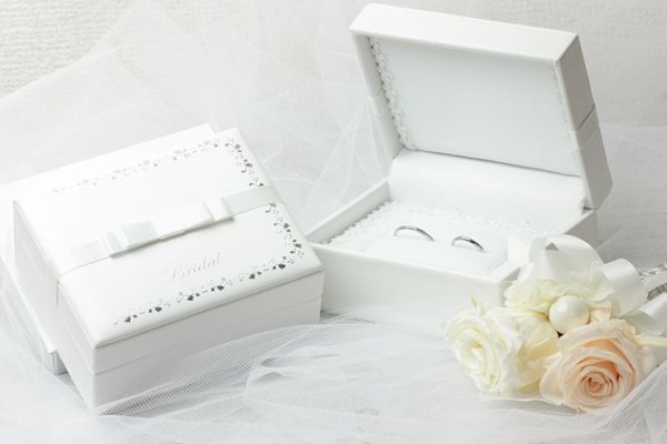 ケースは別途お買い求めお願い致します