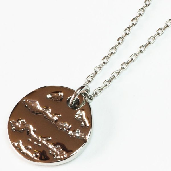 画像3: ネックレス ステンレス プレート シルバー N1295ネックレストップ ギフト用 / ジーラブ