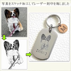 写真からの抜き取り画像サンプル