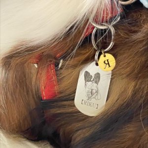 画像3: フルオーダー 迷子札・ペットタグ 送料無料【愛犬写真から作る】 愛犬グッズ ペットグッズ犬 猫 かわいい さびないステンレス ギフト用 / ジーラブ (3)
