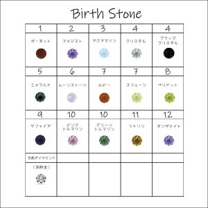 画像6: ステンレス 指輪 ダブル誕生石 シングルピンクゴールドプレミアムエタニティー（ETERNITY）誕生石 ジュエリー リング  金属アレルギー対応 アクセサリー 刻印 名入れ 錆びないリング ギフト用にも人気 / ジーラブ (6)