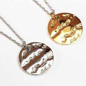 画像4: ペアネックレス ステンレス プレート ゴールド シルバー N1295Y-N1295ネックレストップ ギフト用 / ジーラブ (4)