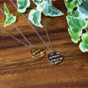 画像6: ペアネックレス ステンレス プレート ゴールド シルバー N1295Y-N1295ネックレストップ ギフト用 / ジーラブ (6)